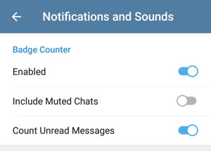 徽章计数器设置