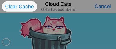 清除频道中的缓存按钮。